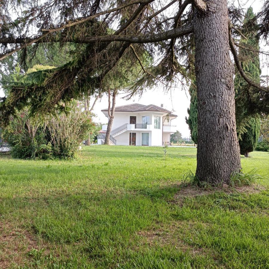 Vila Casa Michelangelo Morrovalle Exteriér fotografie