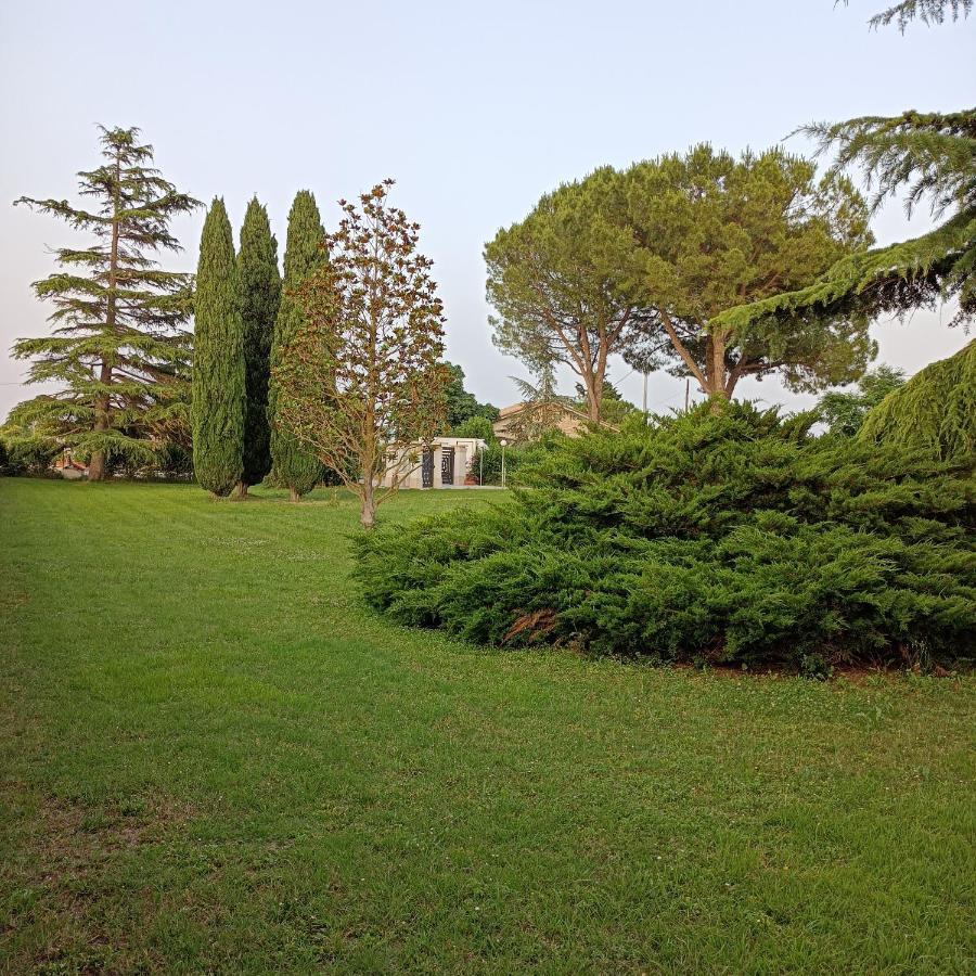 Vila Casa Michelangelo Morrovalle Exteriér fotografie